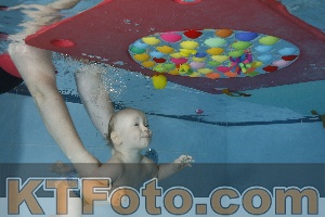 Foto 4254662