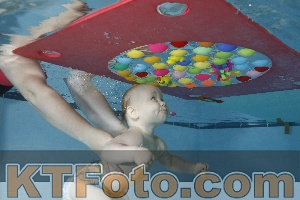 Foto 4254663