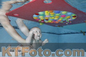Foto 4254664