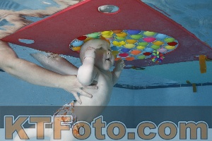 Foto 4254665