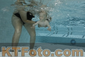 Foto 4254706
