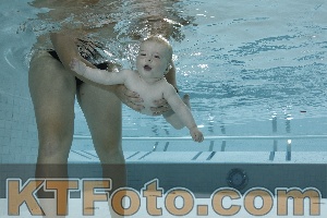 Foto 4254717