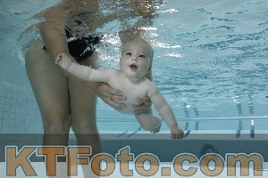 Foto 4254718