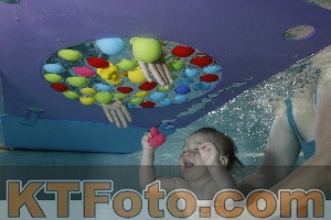 Foto 4254739