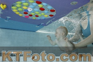 Foto 4254743