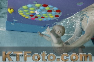 Foto 4254744