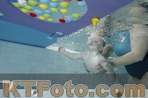 Foto 4254749