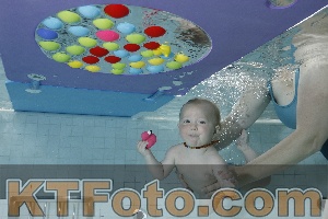 Foto 4254753
