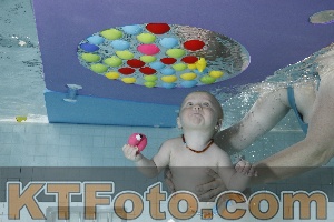 Foto 4254754