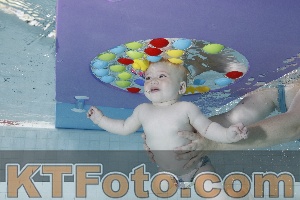 Foto 4254761