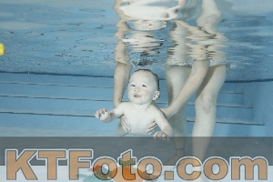 Foto 4254787