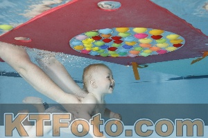 Foto 4254798