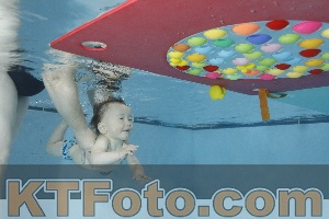 Foto 4254799