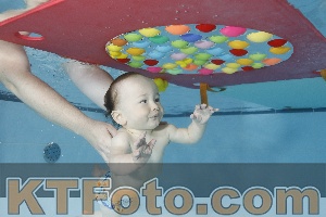 Foto 4254802