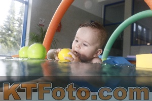 Foto 4254837