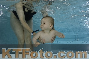 Foto 4254853