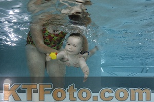 Foto 4254856