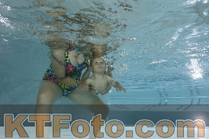 Foto 4254858