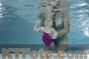Foto 4254868