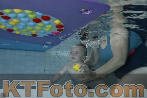 Photo 4254881