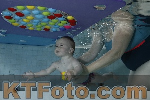 Photo 4254882