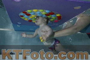 Photo 4254883