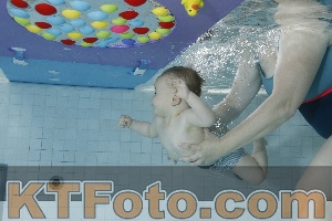 Photo 4254884