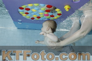 Foto 4254885