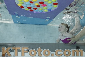 Foto 4254889