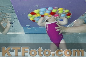 Foto 4254892