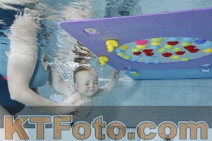Foto 4254896
