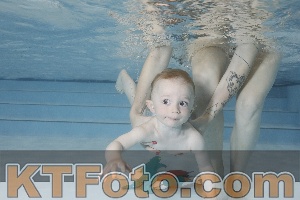 Foto 4254919