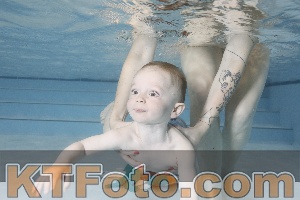 Foto 4254920