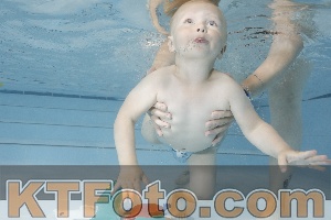 Foto 4254926