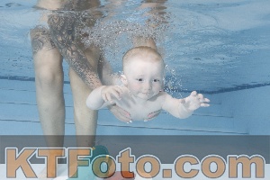 Foto 4254930