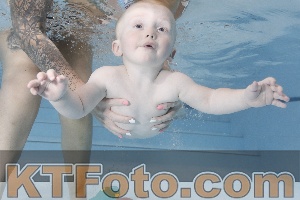 Foto 4254931