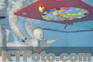 Foto 4254932