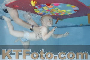 Foto 4254933