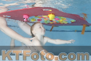 Foto 4254934
