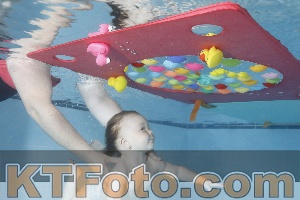 Foto 4254935