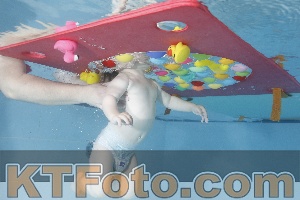 Foto 4254936