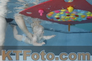 Foto 4254939