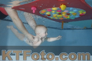 Foto 4254940