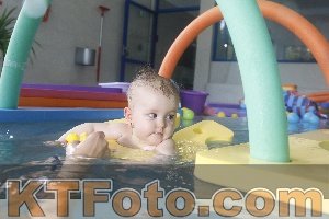 Foto 4254975