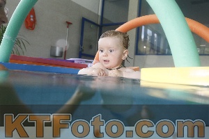 Foto 4254989