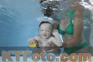 Foto 4255002