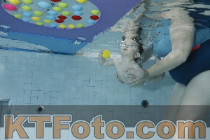 Foto 4255016