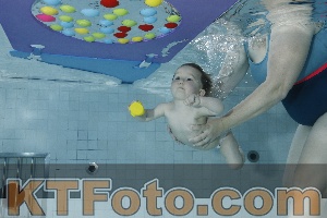 Foto 4255017