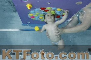Foto 4255019