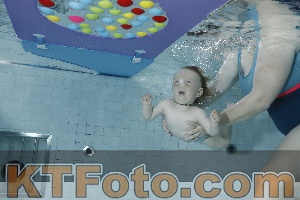 Foto 4255020